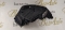 4K0941034 FAR DREAPTA LED AUDI A6 C8 2018-2022