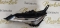 81185 76241 FAR STANGA LEXUS UX MODEL 2018-2024 