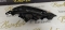 81185 76241 FAR STANGA LEXUS UX MODEL 2018-2024 