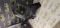 ARIPA DREAPTA SPATE VW TOURAN 5TA809844 2016-2021