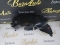 Carenaj roata spate dreapta Renault Clio IV 767482248R