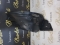 CARENAJ STANGA FATA MERCEDES GLE 2019-2025 A1676901508