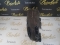 CARENAJ STANGA SPATE FIAT 600 5207642 ORIGINAL
