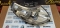 Far dreapta 1340663080 Fiat DUCATO, Citroen JUMPER - BOXER (2006 2007 2008 2009 2010 2011