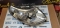 Far dreapta 1340663080 Fiat DUCATO, Citroen JUMPER - BOXER (2006 2007 2008 2009 2010 2011