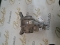 GRUP DIFERENTIAL SPATE MERCEDES E GLC C COD A213500701